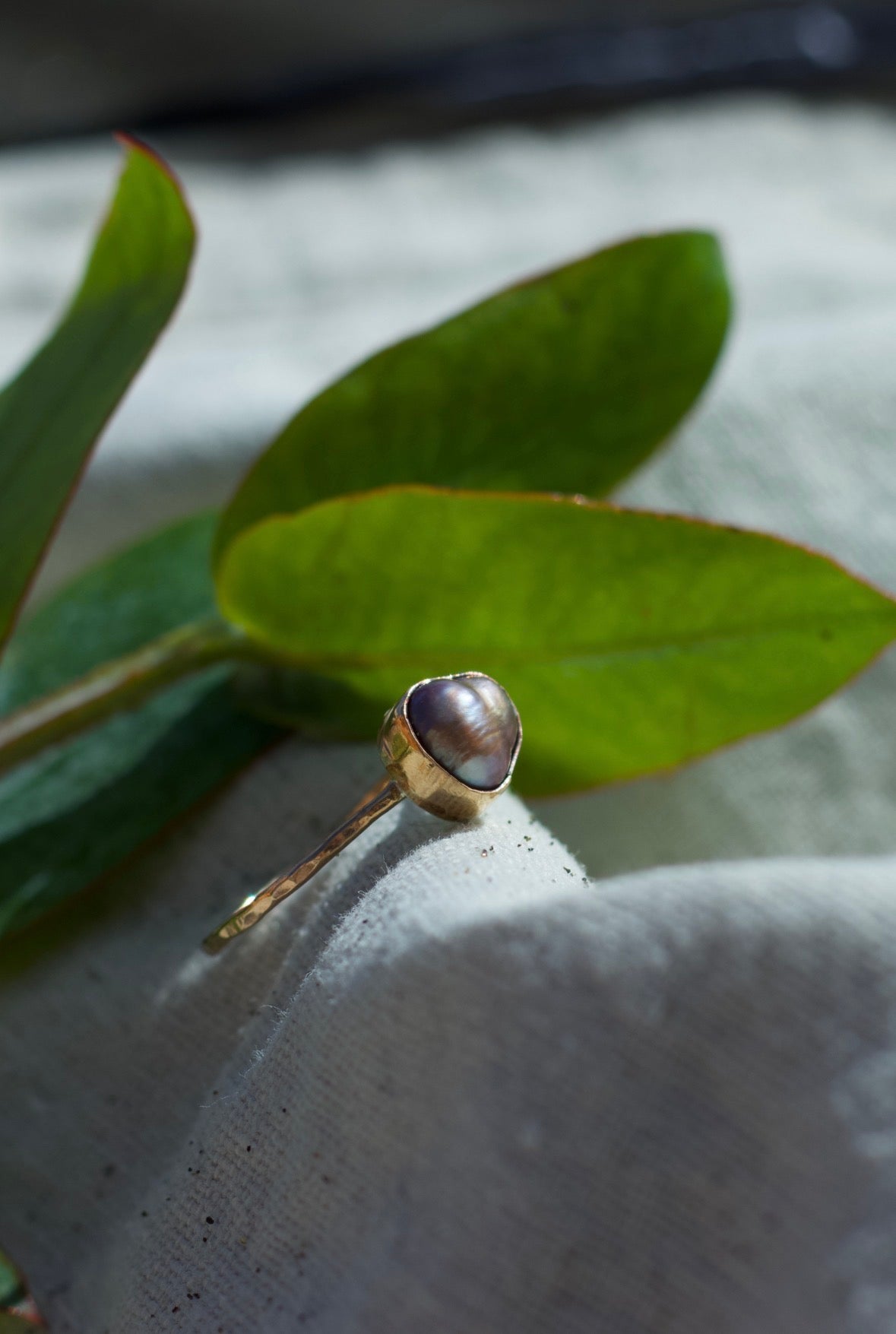 Tahitian Pearl Gold Filled Bezel Ring